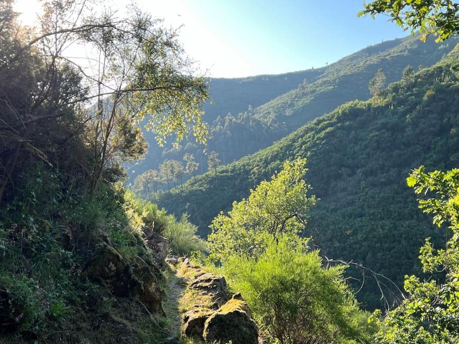 Casinha Do Sol - Natureza & Lazer - Serra Da Freita Arouca Exteriér fotografie