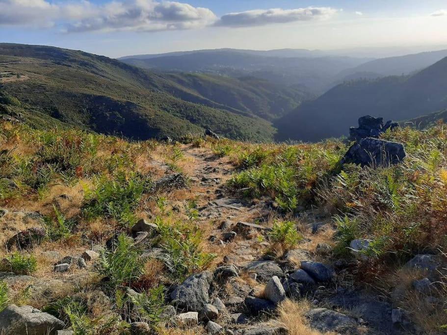 Casinha Do Sol - Natureza & Lazer - Serra Da Freita Arouca Exteriér fotografie